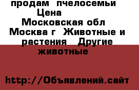 продам  пчелосемьи › Цена ­ 3 500 - Московская обл., Москва г. Животные и растения » Другие животные   
